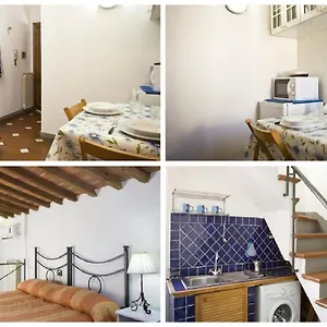 Zmax Zanobi Florencia